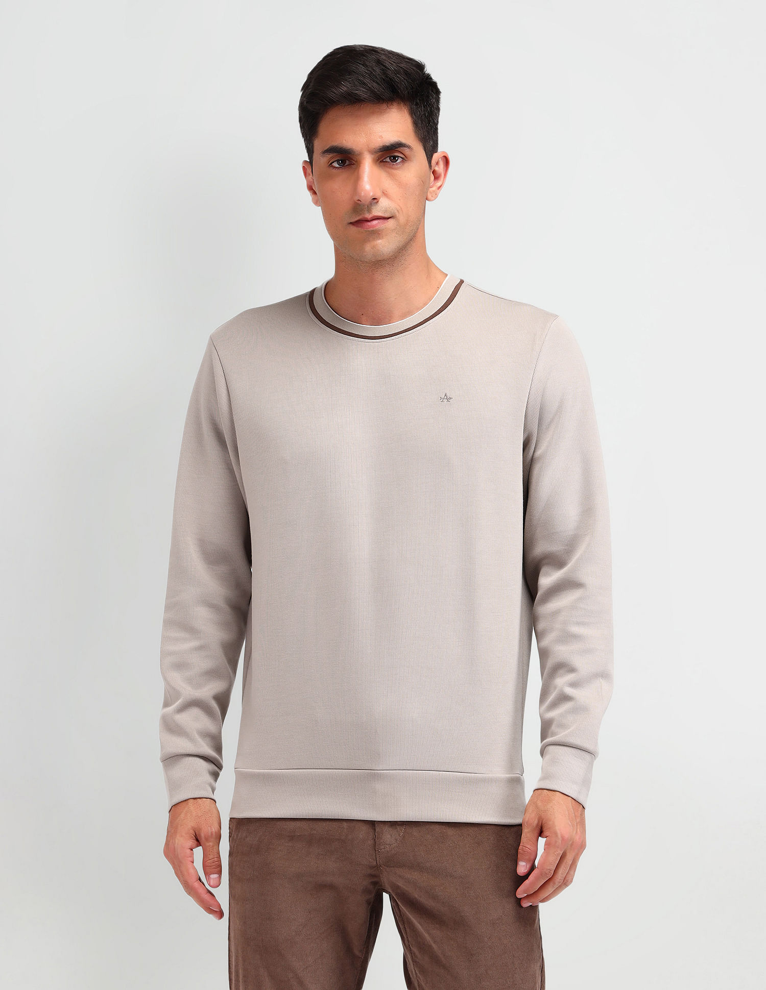 Arrow Textured Regular Fit Sweatshirt