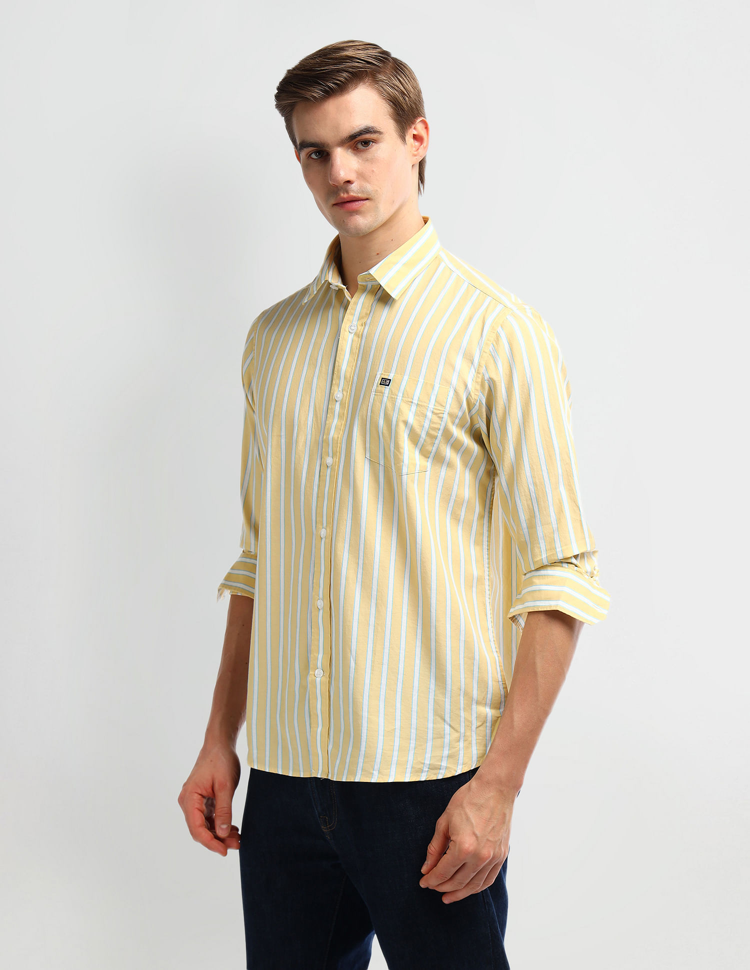 Arrow Sport Vertical Stripe Cotton Shirt