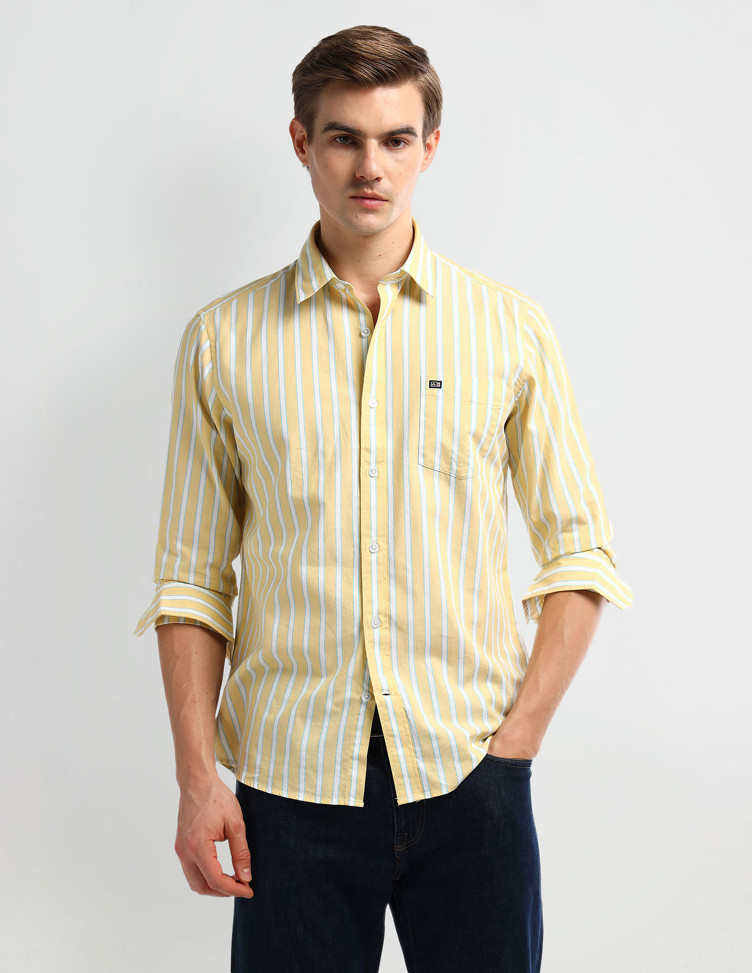 Arrow Sport Vertical Stripe Cotton Shirt