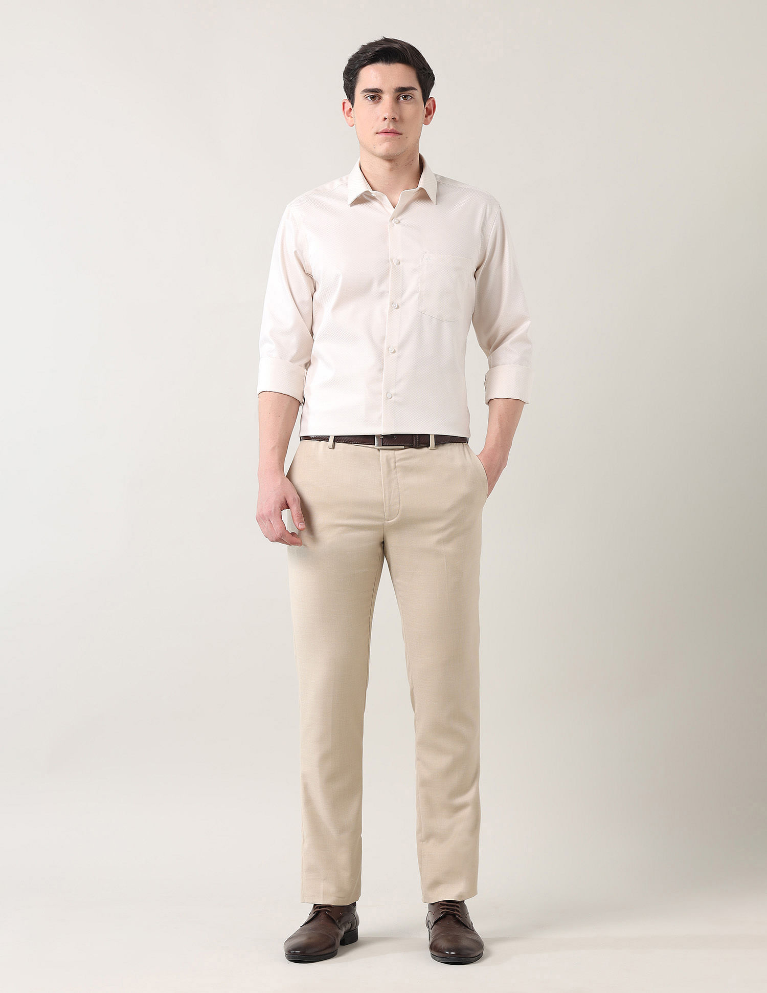 Arrow Pure Cotton Autopress Shirt