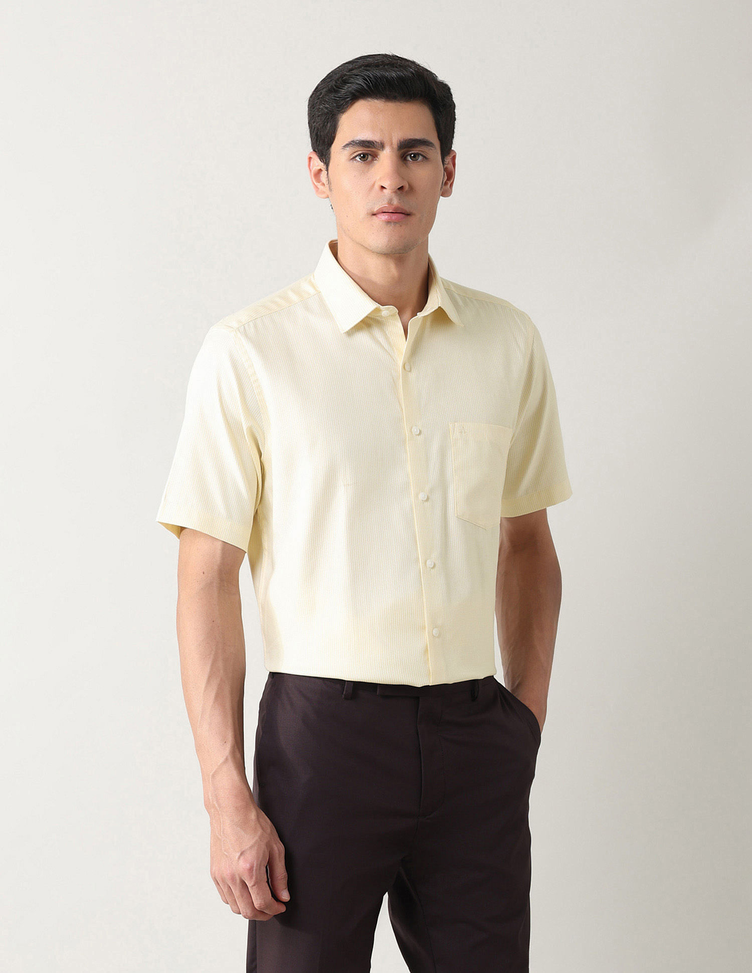 Arrow Textured Liberty Classic Fit Shirt