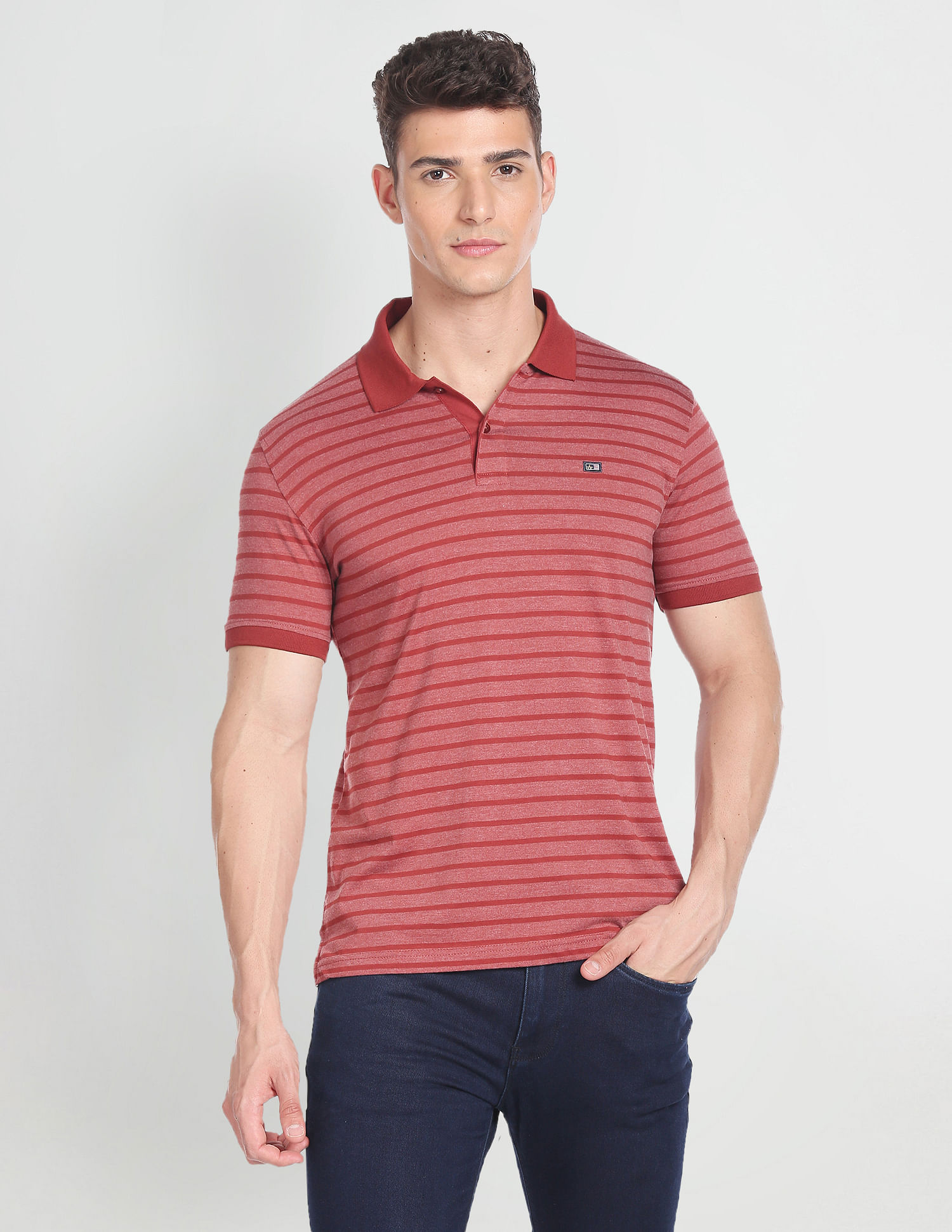 Arrow Sports Horizontal Striped Knitted Polo Shirt