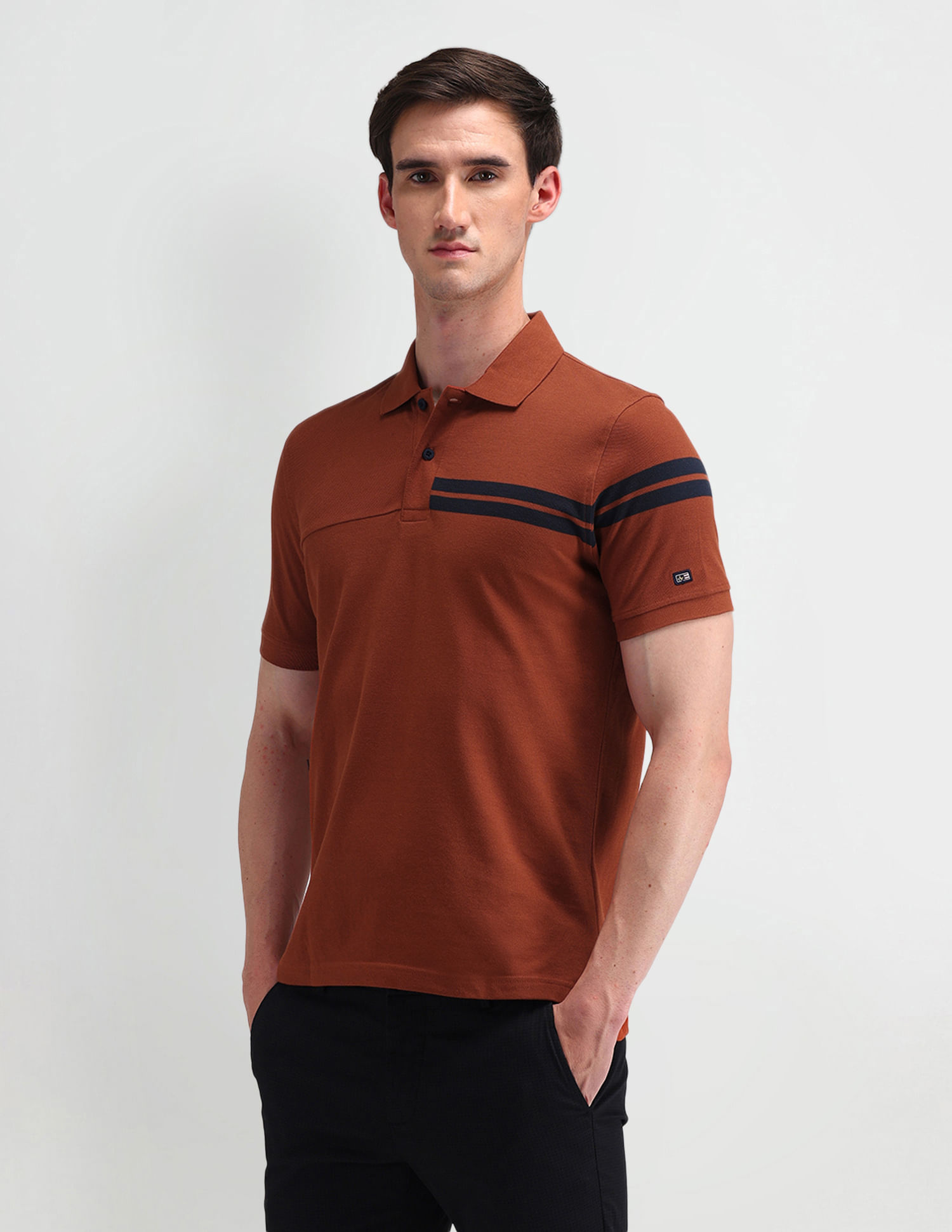 Arrow Sport Horizontal Striped Regular Polo Shirt
