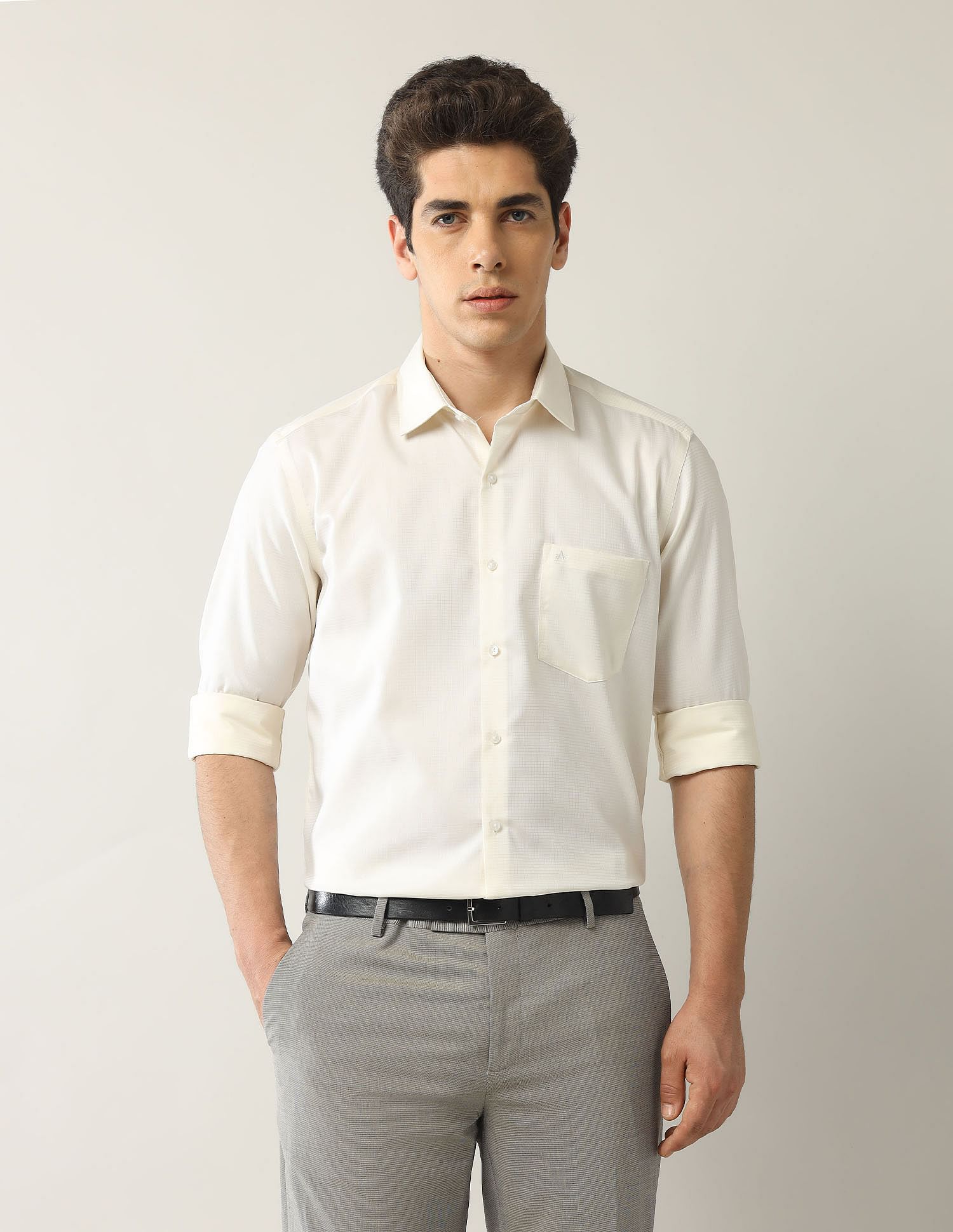 Arrow Micro Checked Autopress Shirt