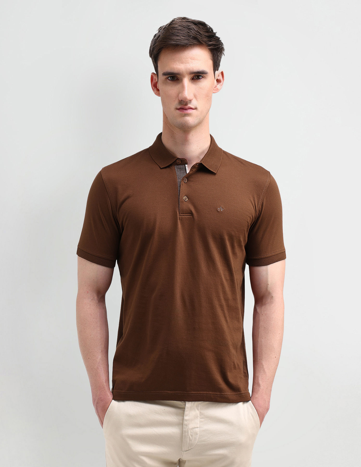 Arrow Solid Regular Polo Shirt