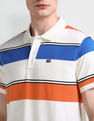 Arrow Sport Horizontal Striped Regular Polo Shirt