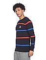 U.S. Polo Assn. Crew Neck Striped Sweater