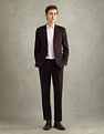 Arrow Self Design Dobby Two Piece Suit