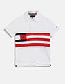 Tommy Hilfiger Kids Boys Colorblock Regular-Fit Cotton Polo T-Shirt