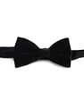 Arrow Men Pre Tied Velvet Bow Tie