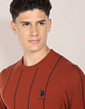 U.S. Polo Assn. Crew Neck Vertical Stripe Sweater