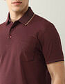 Arrow Solid Regular Fit Polo Shirt