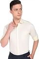 Arrow Pinstripe Cotton Shirt