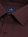 Arrow Slim Fit Vertical Striped Shirt