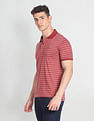 Arrow Sports Horizontal Striped Knitted Polo Shirt