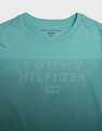 Tommy Hilfiger Kids Boys Logo Regular-Fit Cotton T-Shirt