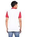 AD by Arvind Cotton Colour Block Polo Shirt
