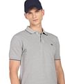 Arrow Sports Striped Collar Heathered Cotton Polo Shirt